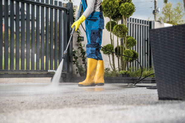 Best Gutter Cleaning  in Woodsboro, TX